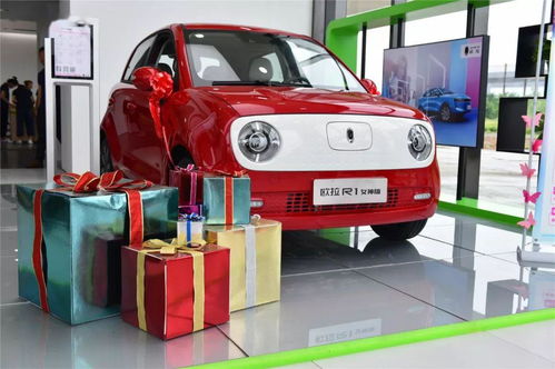 科达新能源汽车公司圆满完成安徽泰能新能源产品下线仪式接待工作并延伸服务 代办汽车年审